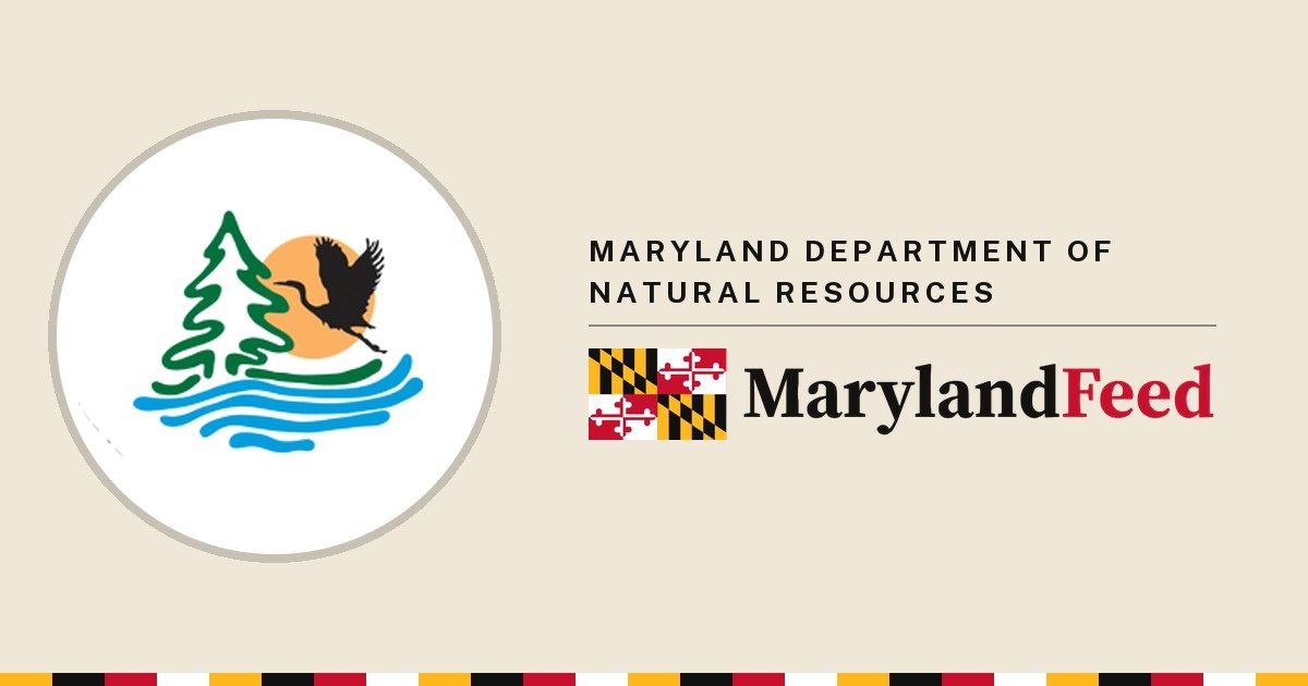 Maryland Department of Natural Resources logo