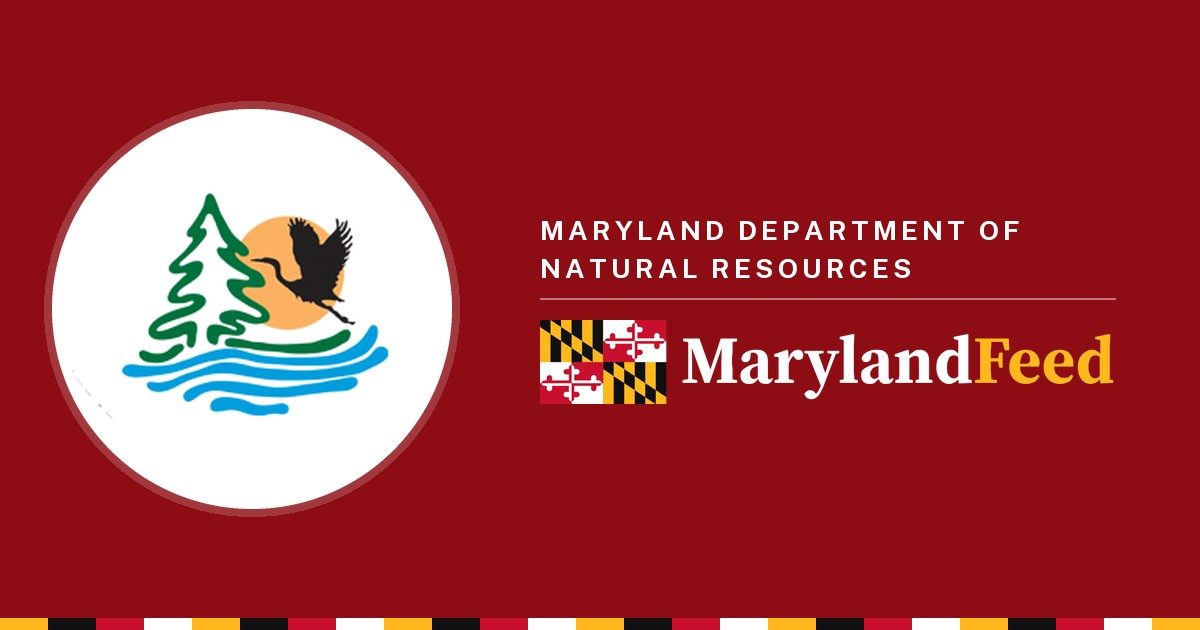 Maryland Department of Natural Resources logo