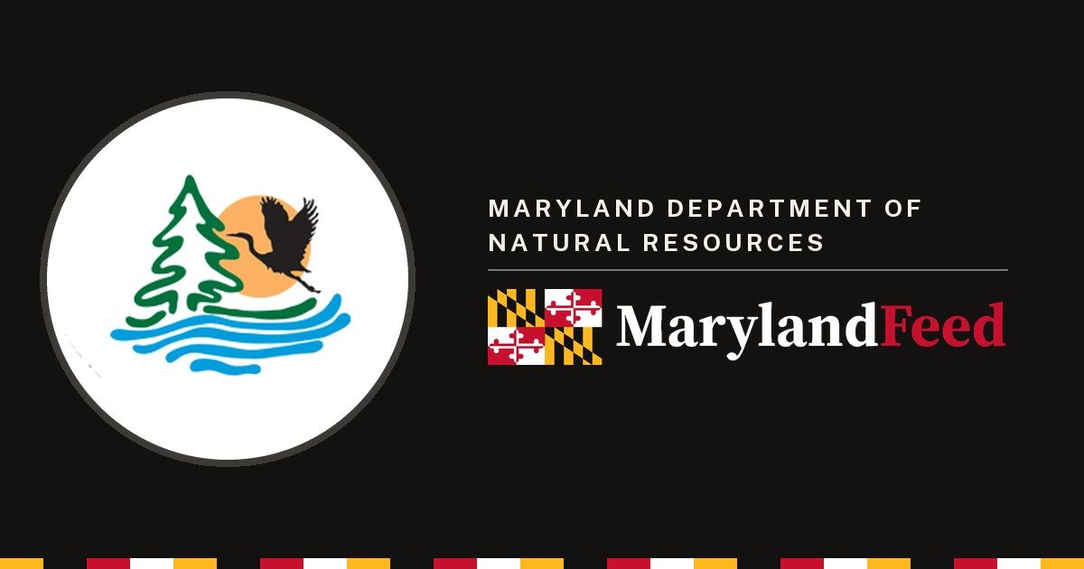 Maryland Department of Natural Resources logo