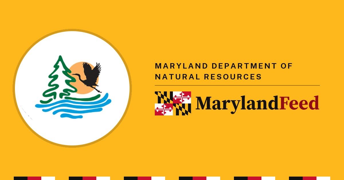 Maryland Department of Natural Resources logo